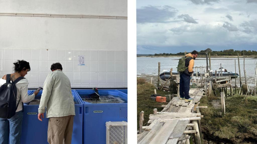 Manu y Joao en la Pescadería Ismael. Maksut en el puerto palafítico de Carrasqueira.
