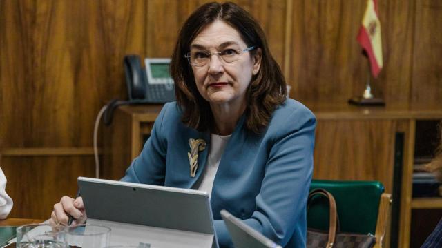 Cani Fernández, presidente de la CNMC.