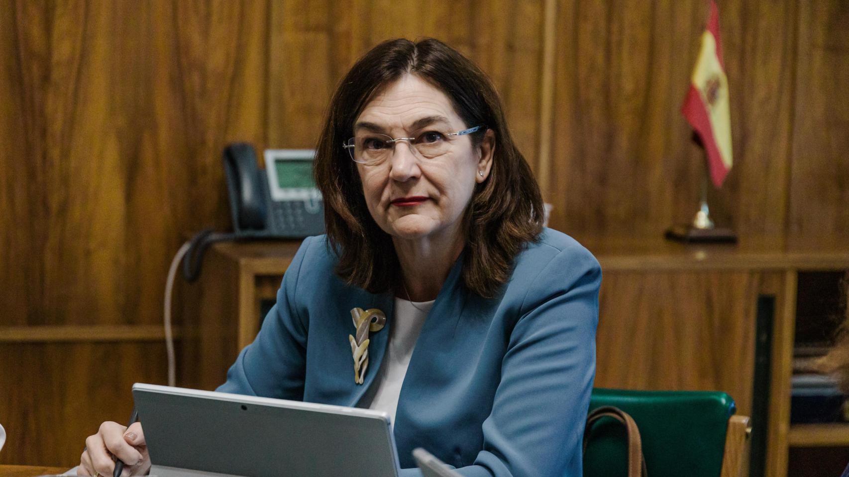 Cani Fernández, presidente de la CNM