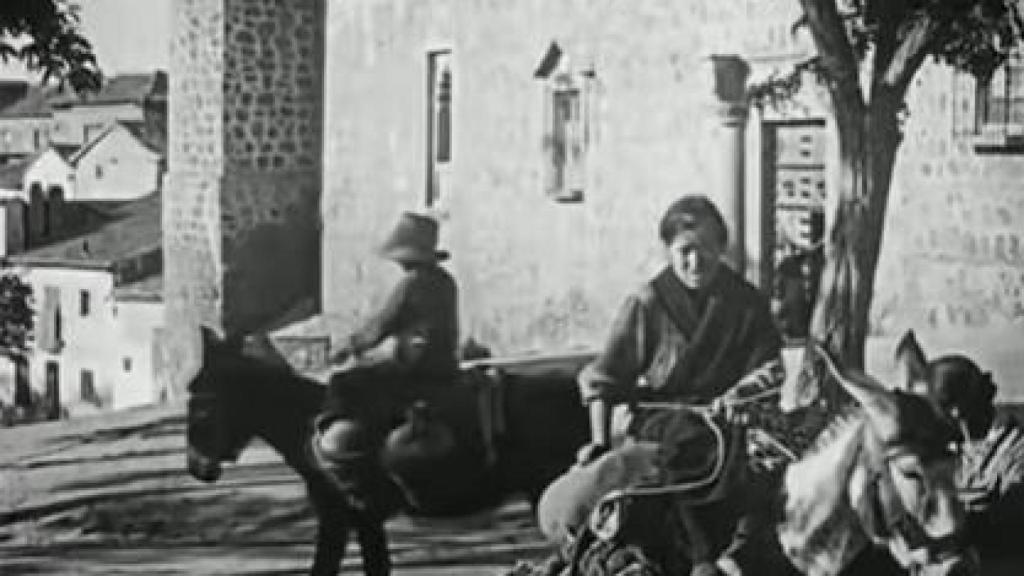 Burros en Toledo capital.