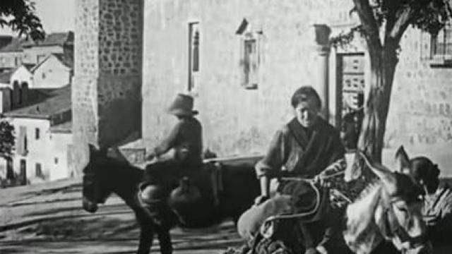 Burros en Toledo capital.