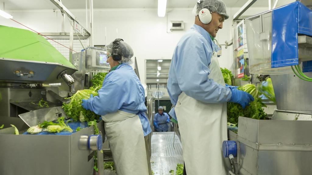 Los trabajadores de Florette en sus instalaciones de Milagro.