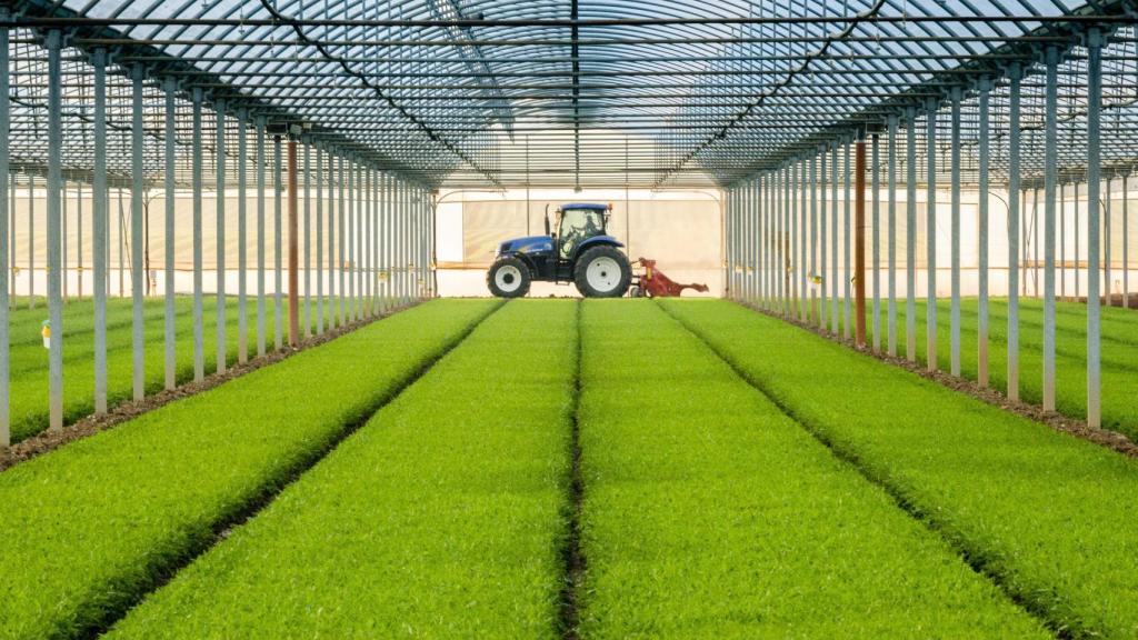 Uno de los cultivos protegidos de Florette en Cadreita, Navarra.