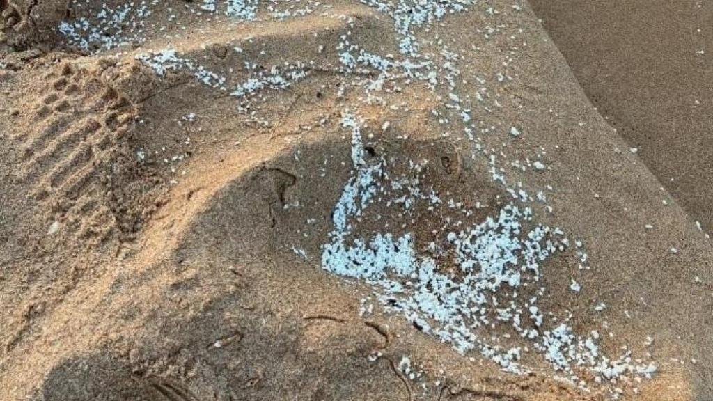 El vertido desconocido en la playa de Daimús. Ayto Daimús