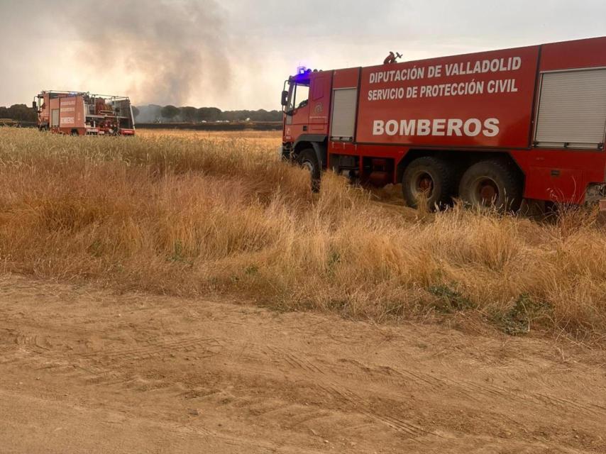 Los Bomberos de la Diputación actuando en Bobadilla