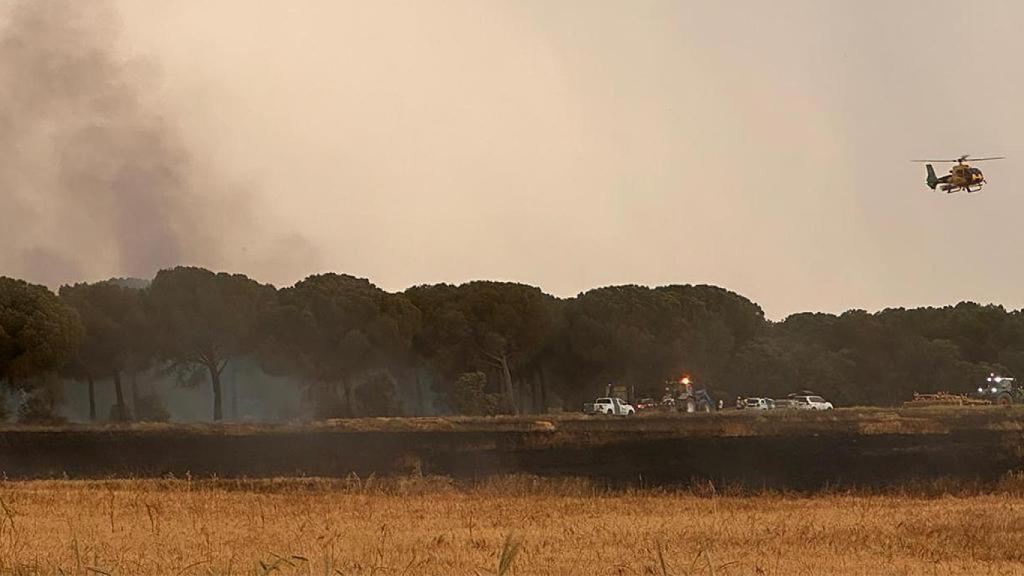 Imagen del incendio en Bobadilla