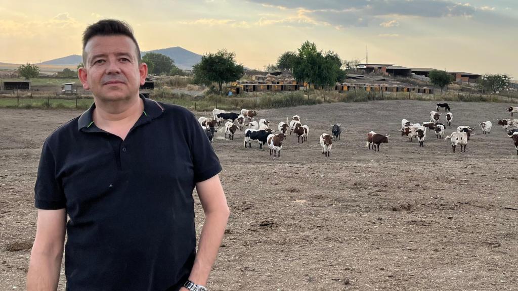 Gustavo Aranda en su explotación de bueyes en Pulgar (Toledo).
