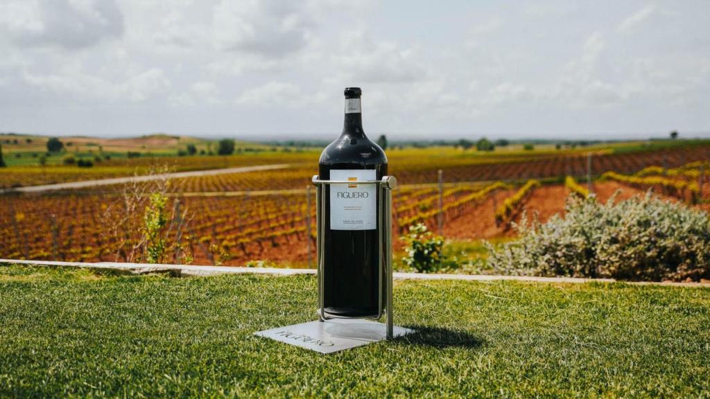 La Nabucodonosor de Bodegas Figuero en sus viñedos de Ribera de Duero.
