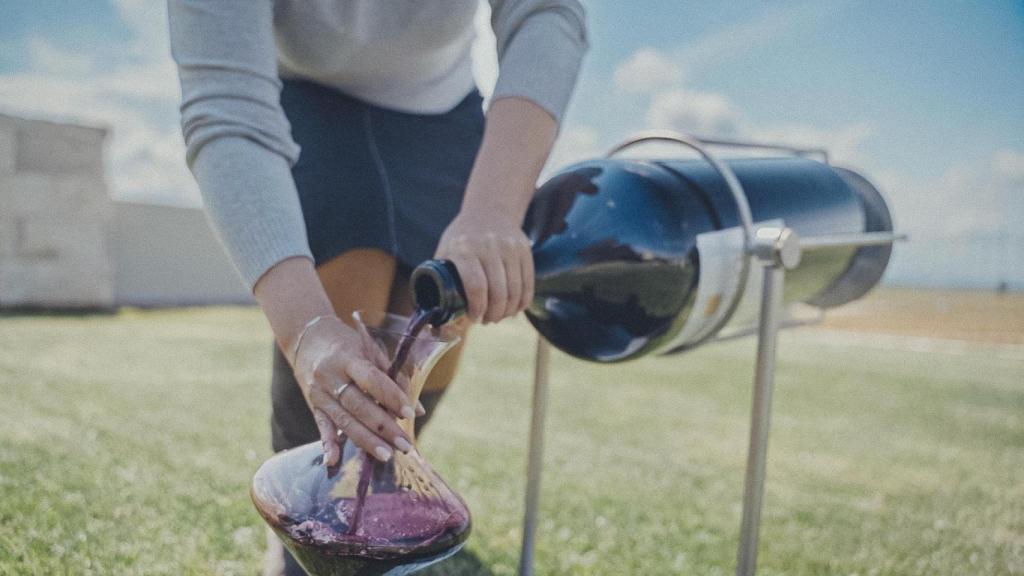 La Nabucodonosor de Bodegas Figuero.