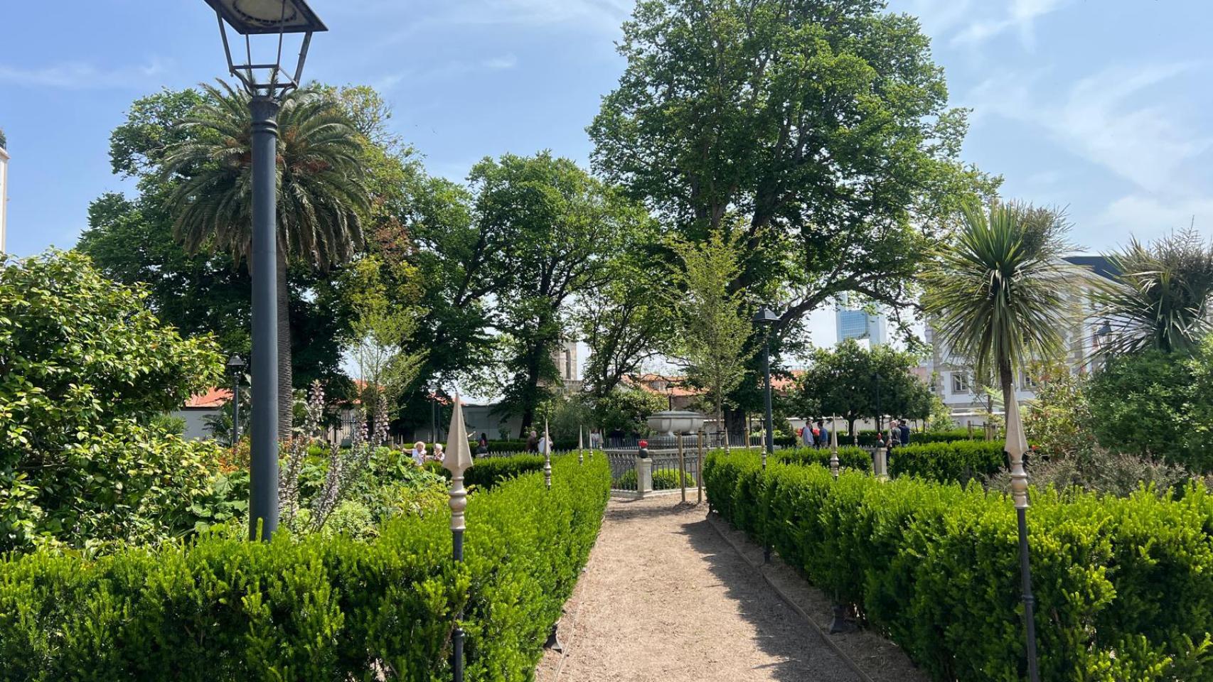 El jardín de San Carlos estrena los nuevos olmos.