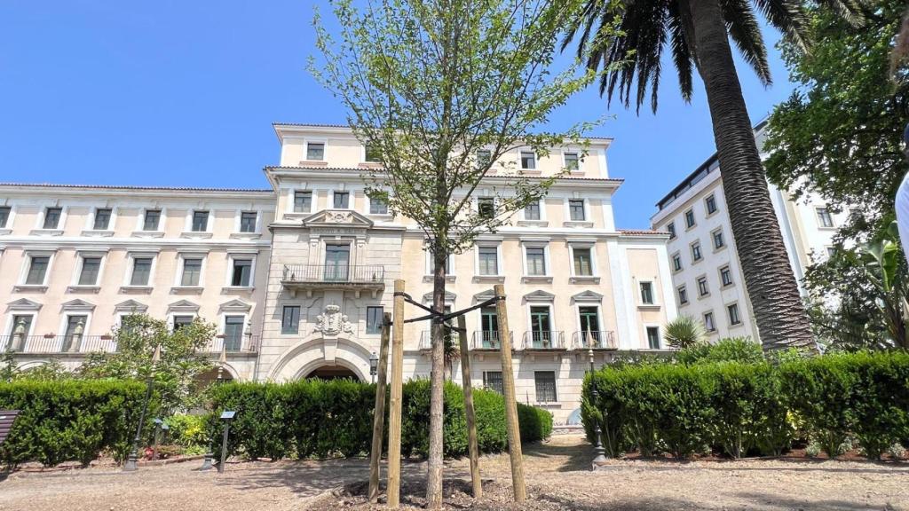 Imagen del jardín esta mañana.