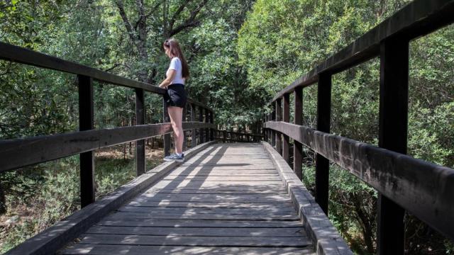 Uno de los puentes de las piscinas naturales de Las Presillas de Rascafría.