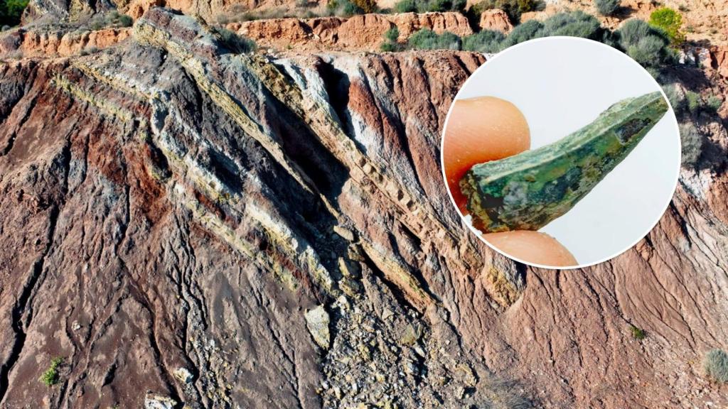 Rocas del Triásico, junto con un fósil de diente de arcosaurio de gran tamaño.
