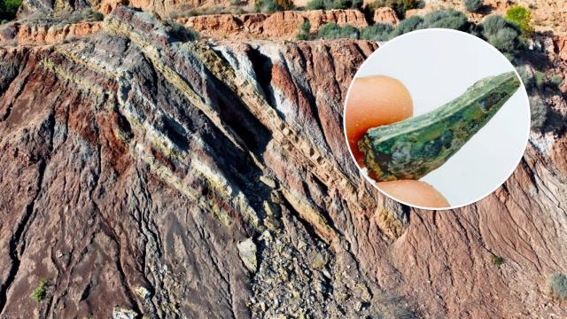Rocas del Triásico, junto con un fósil de diente de arcosaurio de gran tamaño.