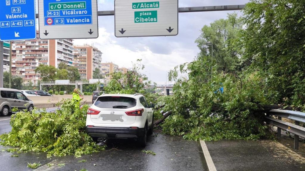 Un árbol cae sobre un coche en la M-30.