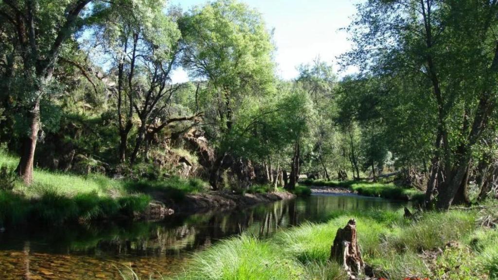 Finca en venta en Ciudad Real. Foto: Idealista.
