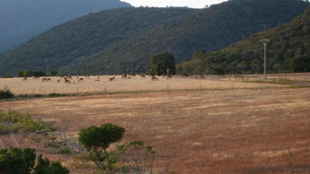 Finca en venta en Ciudad Real. Foto: Idealista.
