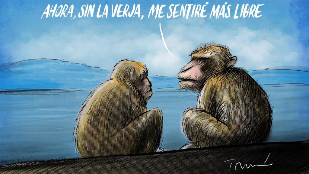 Ilustración: Tomás Serrano