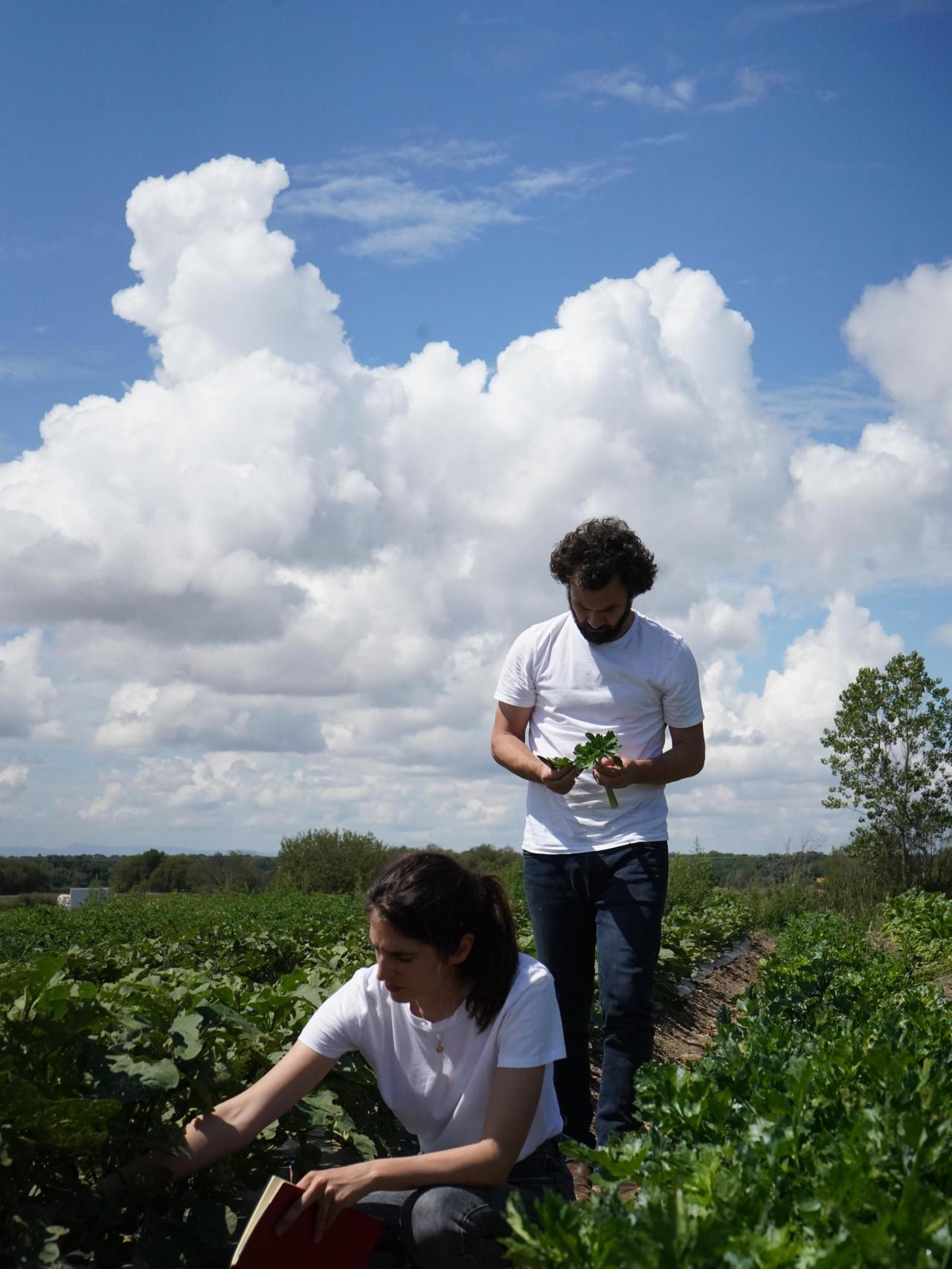 Almudena y Fernando en su huerto de Tiétar.