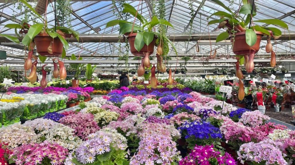 Una de las partes de Viveros Shangái.