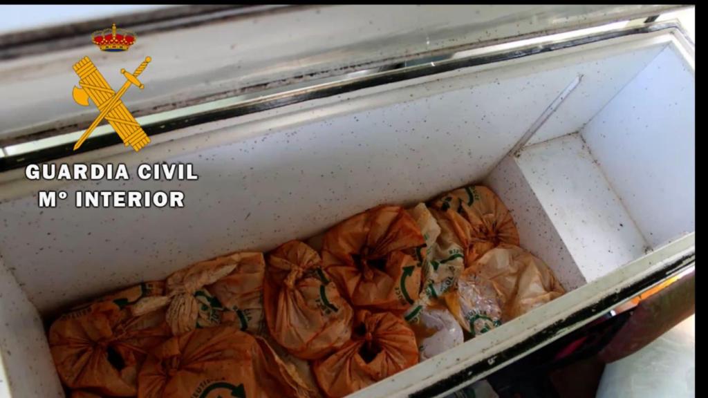 Pimientos incautados en una operación de la Guardia Civil