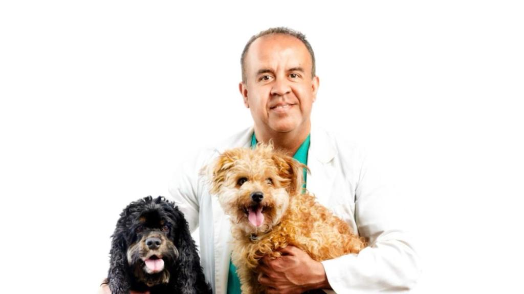 Soy nutricionista canino y no recomiendo una dieta con solo pienso: Es problemático tanto si lo come en exceso, como si no