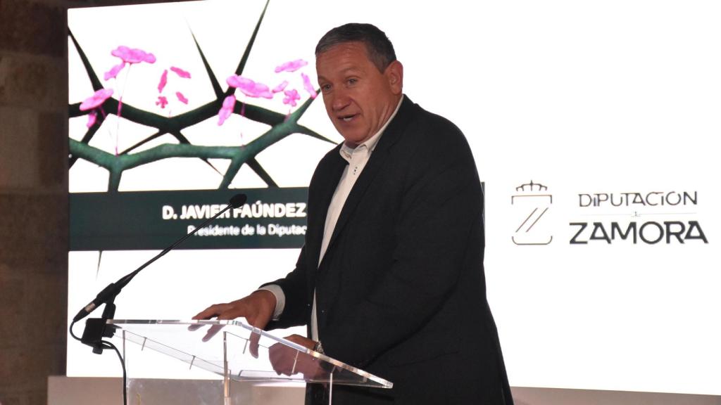 El presidente de la Diputación, Javier Faúndez
