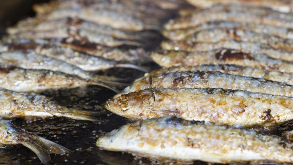 Sardinas asadas