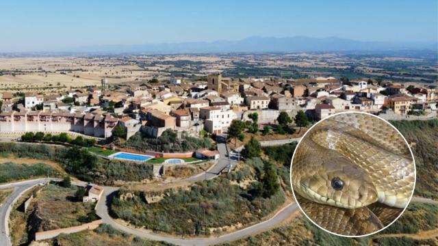 Montaje del pueblo oscense y una serpiente.