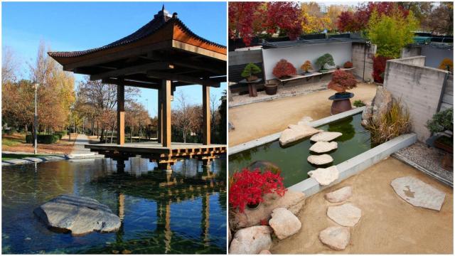 Diferentes vistas del jardín del museo del bonsái y del Parque de la Vega de Alcobendas.