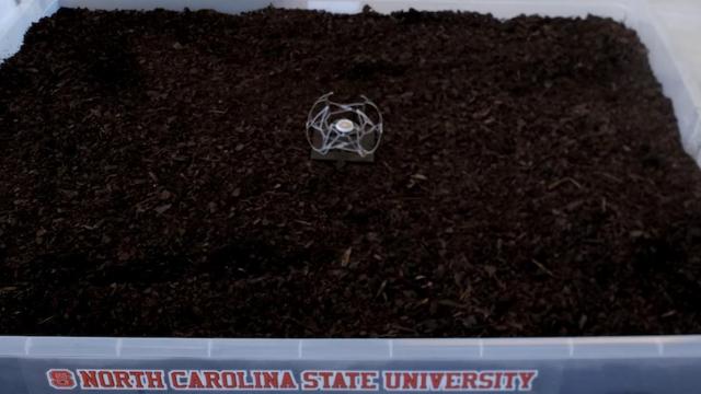 El robot con forma de pelota en una prueba.