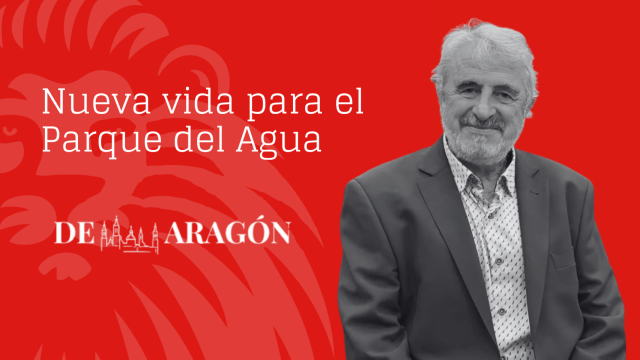 Francisco Pellicer, presidente de la Asociación Legado Expo.