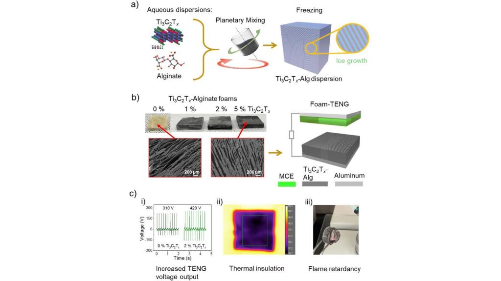 Diagrama del estudio que explica el desarrollo y las funciones del material