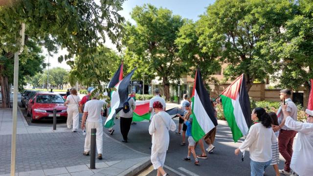 'Marcha por Gaza' en Toledo.