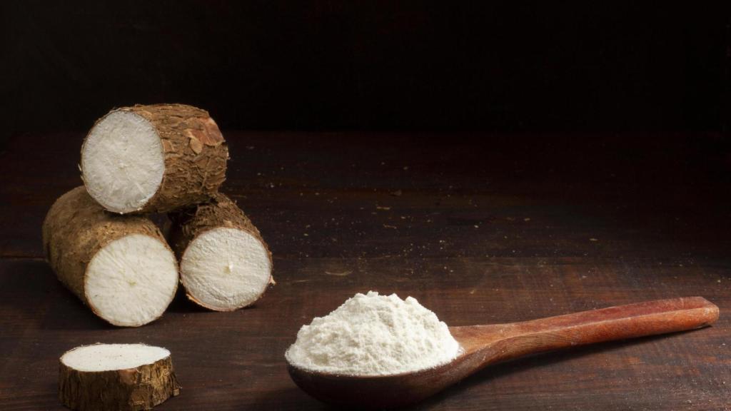 Tapioca extraída de la yuca.