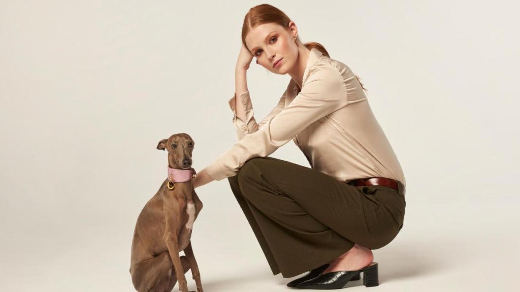 Perro con arnés de Branni Pets.