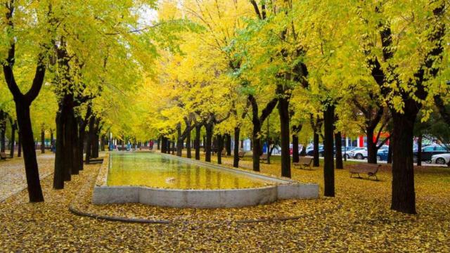 Uno de los parques más conocidos de Pinto.