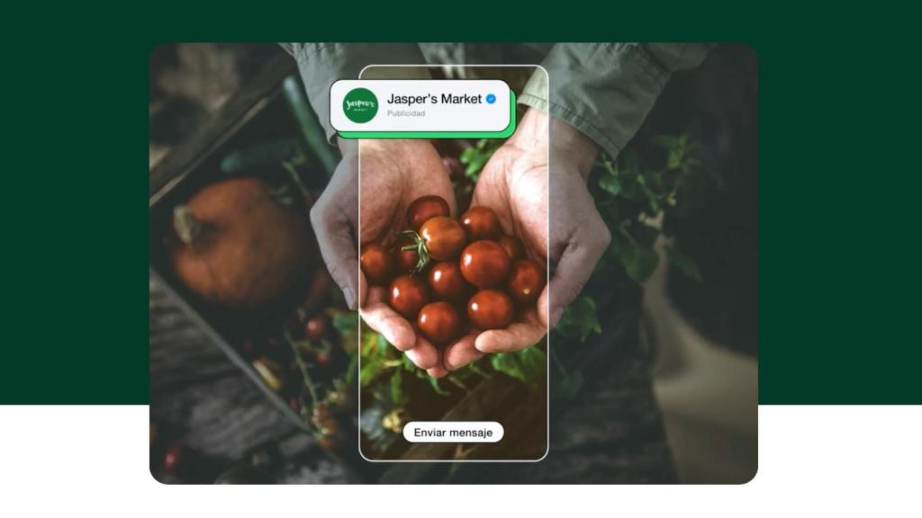 Los anuncios llegan a WhatsApp