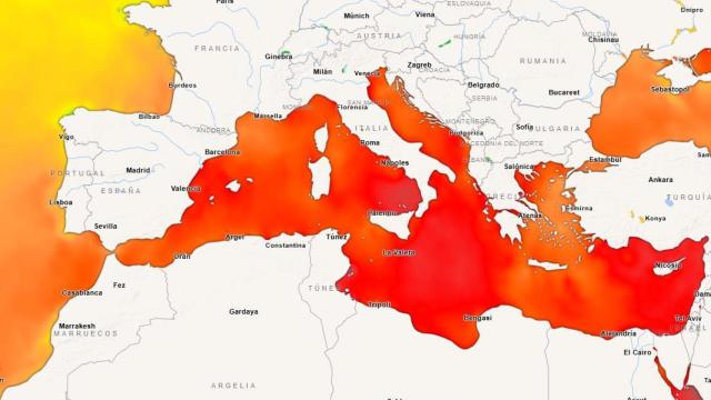 Previsión de la temperatura superficial marina para los próximos días.