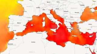 Captura de pantalla 2025-06-16 190113