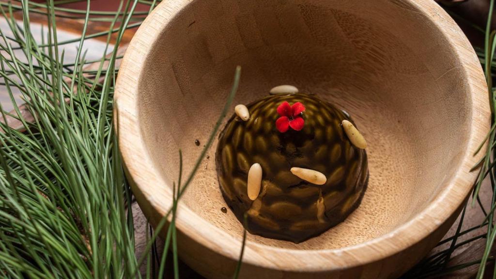 El pinar de Valdequemado.