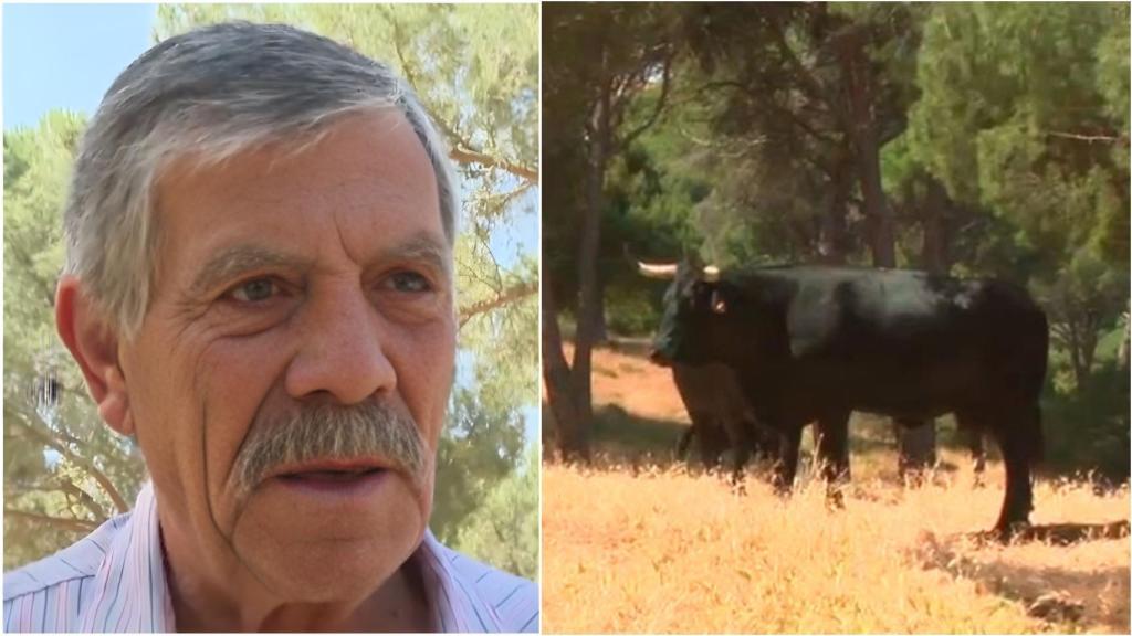 Ángel, el ganadero de las vacas bomberas que protegen la sierra.