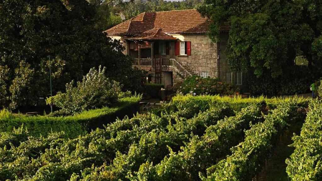 Uno de los furanchos más emblemáticos de las Rías Baixas