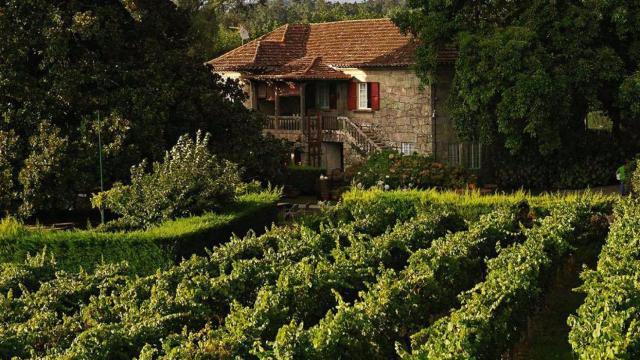Uno de los furanchos más emblemáticos de las Rías Baixas