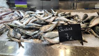 Sardinas en la plaza de Lugo de A Coruña.