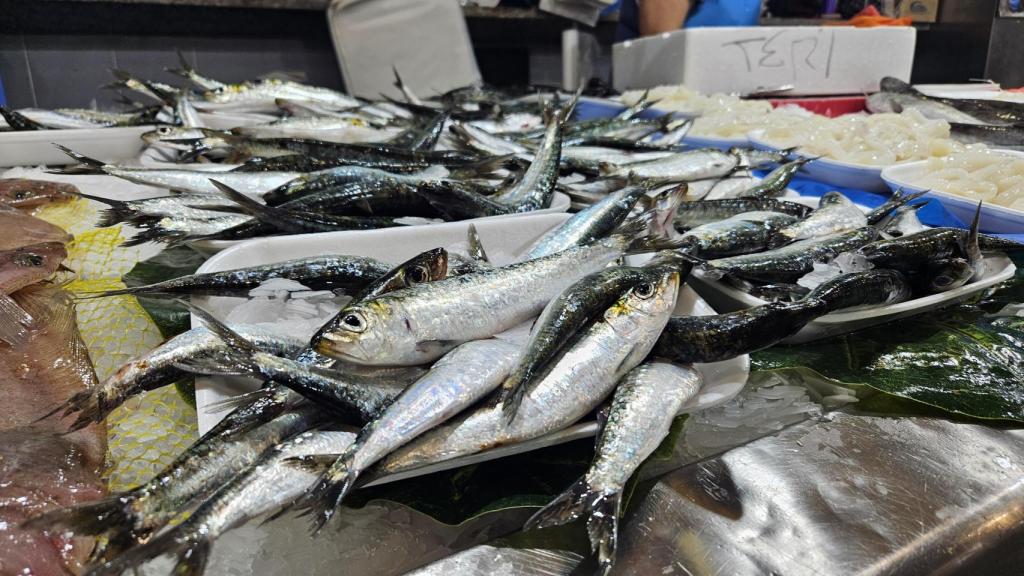 Sardinas en el mercado de la plaza de Lugo en A Coruña el pasado miércoles.
