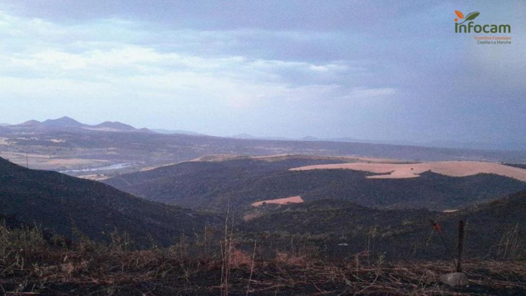 Zona arrasada por el incendio.
