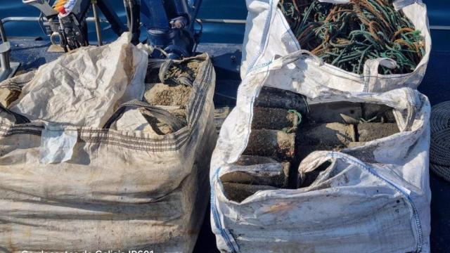 Furtivismo entre Ons y A Guarda (Pontevedra): incautan más de 200 kilos de pulpo vedado