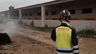 Los Bomberos de la Diputación de Valladolid en la granja