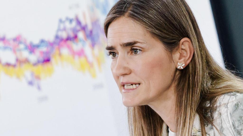 La vicepresidenta tercera y ministra para la Transición Ecológica y el Reto Demográfico, Sara Aagesen, durante una rueda de prensa tras el Consejo de Ministros, en el Palacio de la Moncloa, a 17 de junio de 2025, en Madrid (España).